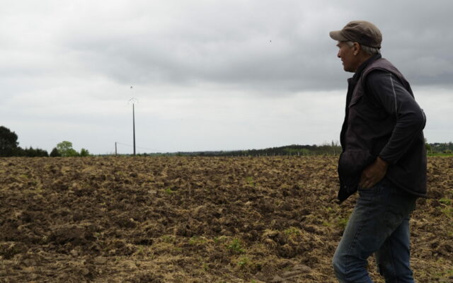 futur système agroforestier, véritable terrain d'expérimentation.